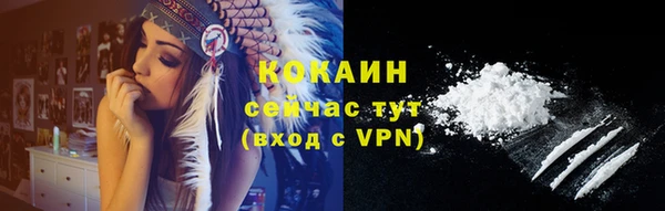 индика Кодинск