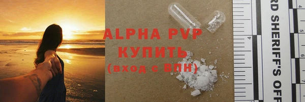 индика Кодинск