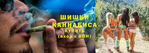 индика Кодинск