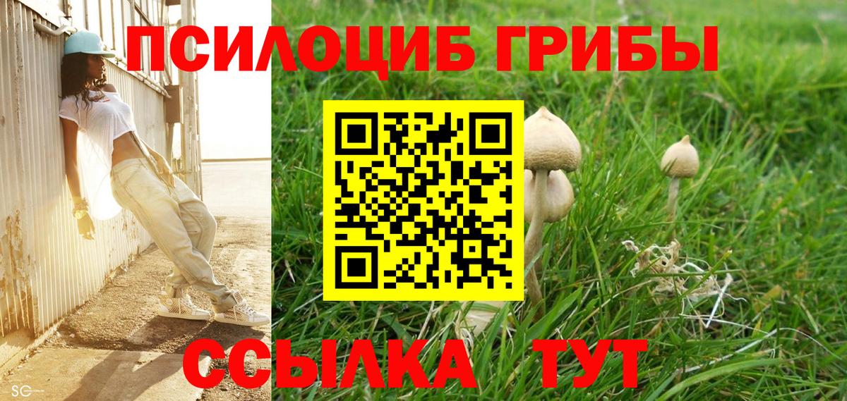 Галлюциногенные грибы мицелий Курганинск