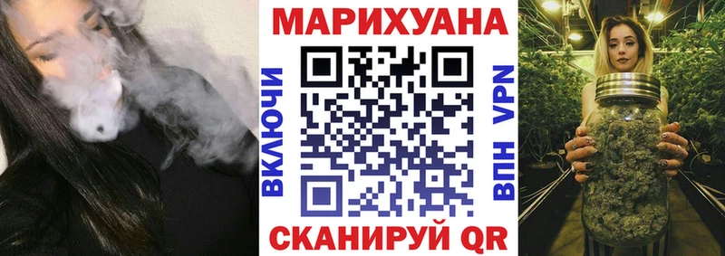 где найти наркотики  Курганинск  Бошки марихуана сатива 